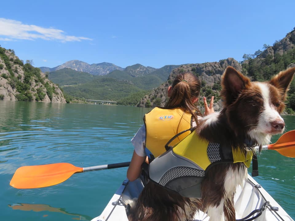 Cani-kayak (kayak rental with dog) - Grand Tour