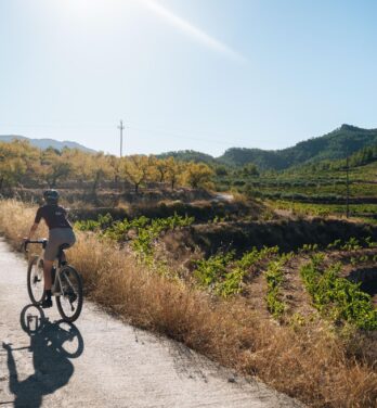 Entre colinas de viñas y carreteras sinuosas