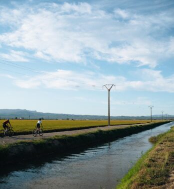 Unendliche pisten des Ebre-Deltas