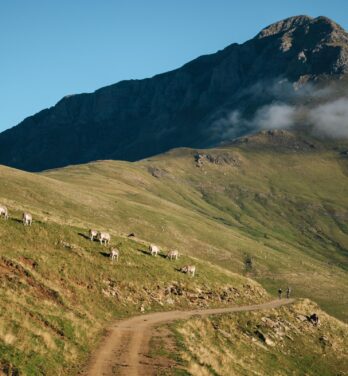 Die Strecke von Espot nach Llessui – ein Balkon über dem Pallars