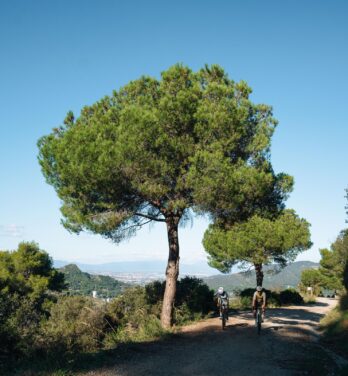 El paso hacia el Parque Natural de Collserola