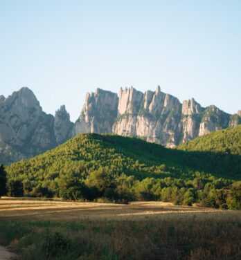 Hacia el corazón del Penedès