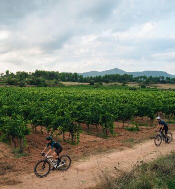 Eintritt in die Bages-Region